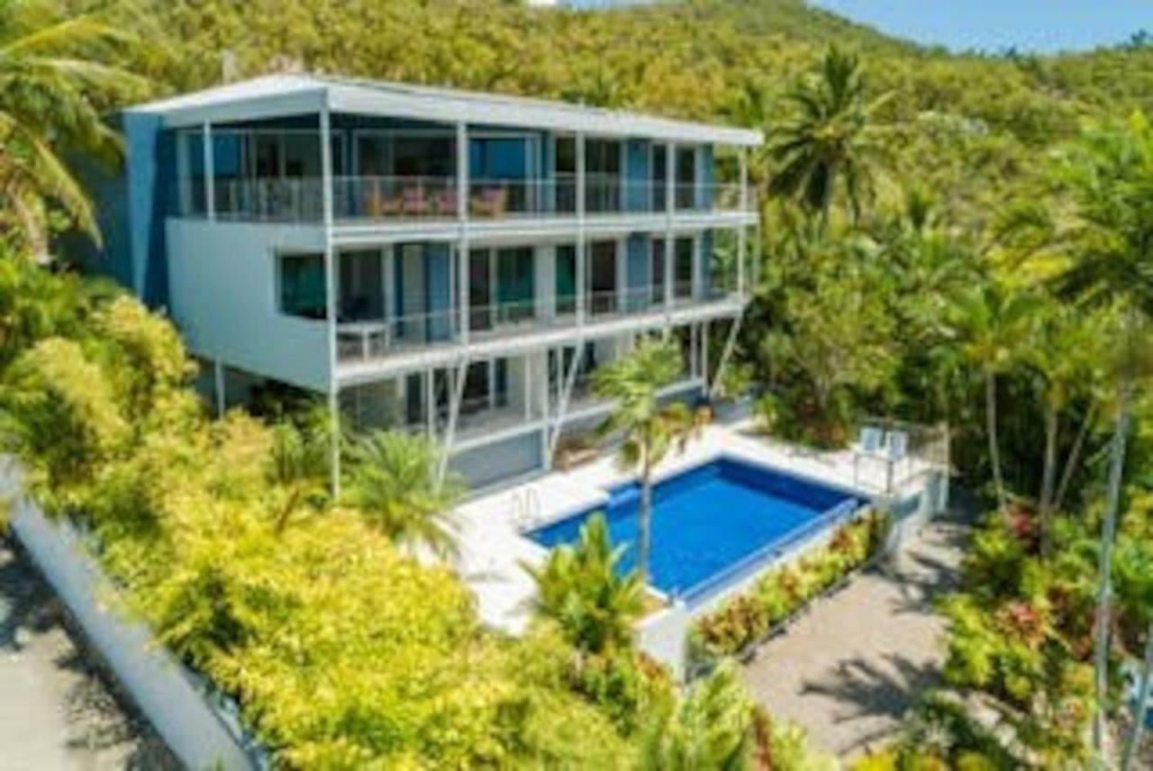 Baybliss Apartments Studio 1 Shute Harbour Extérieur photo