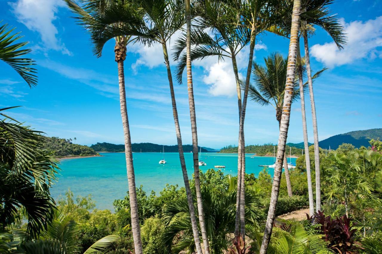 Baybliss Apartments Studio 1 Shute Harbour Extérieur photo